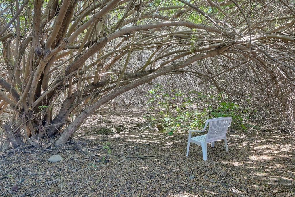 554 Taylor Street Property Photo 35