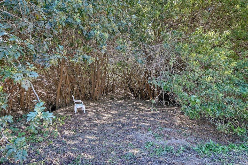 554 Taylor Street Property Photo 36