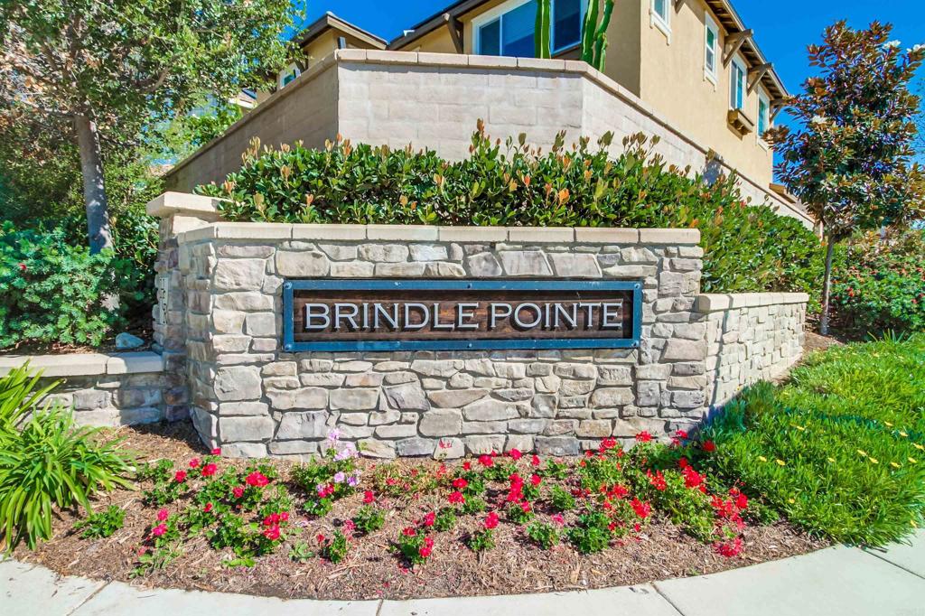 235 Spotted Saddle Way Property Photo 47