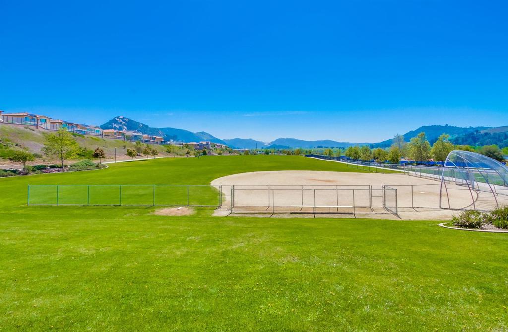 235 Spotted Saddle Way Property Photo 68