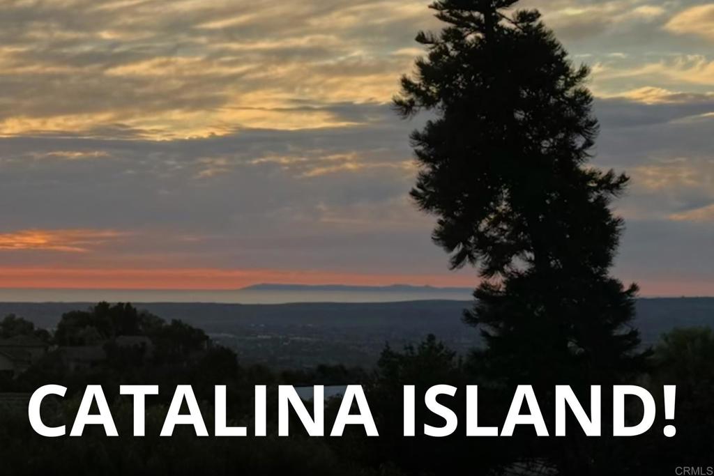 2335 Mirador Property Photo 34