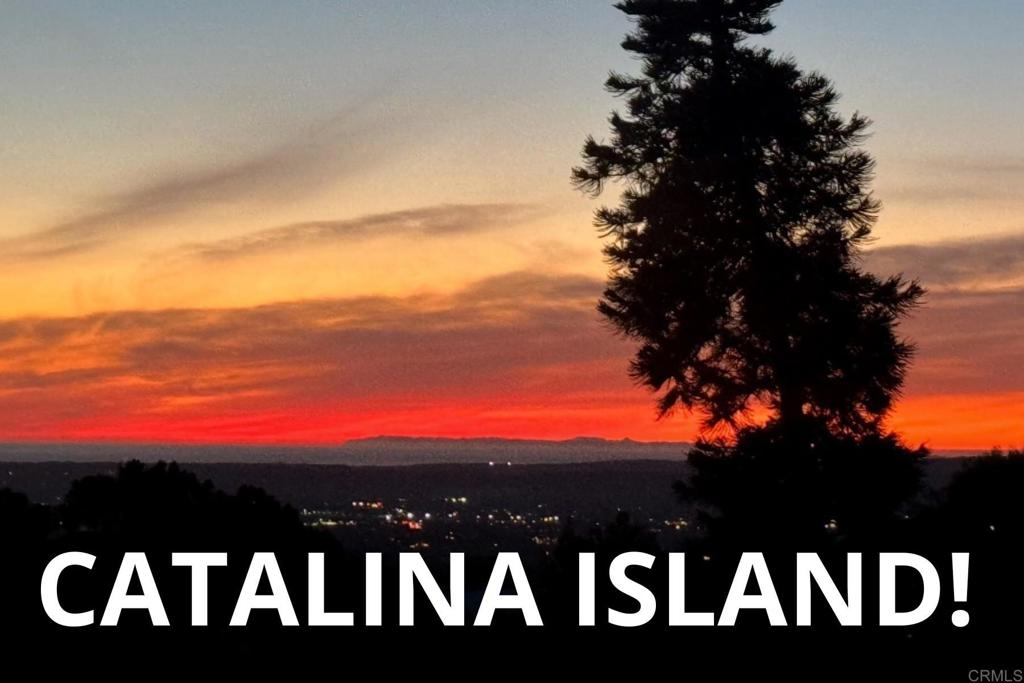 2335 Mirador Property Photo 41