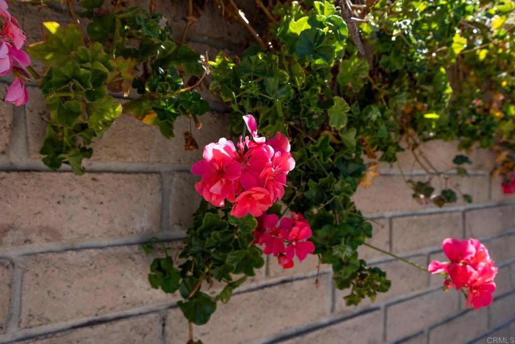 2335 Mirador Property Photo 63