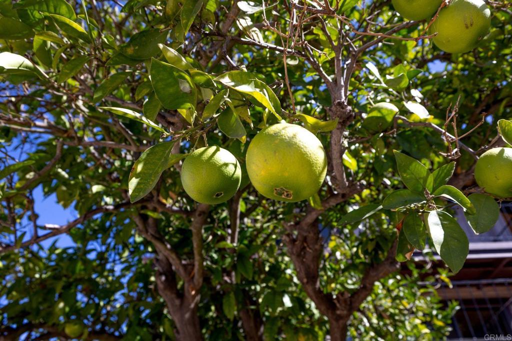 2335 Mirador Property Photo 64