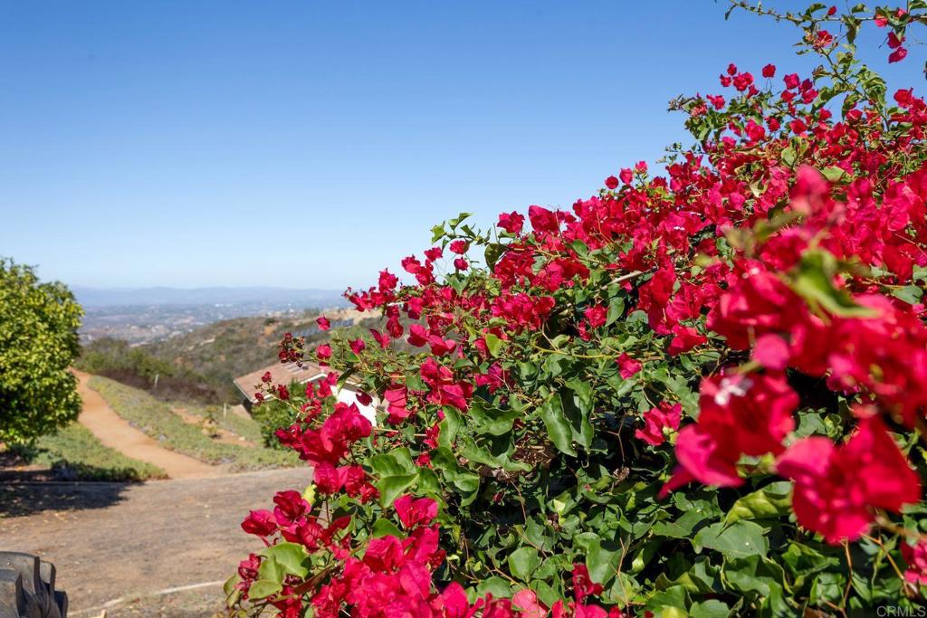 2335 Mirador Property Photo 65