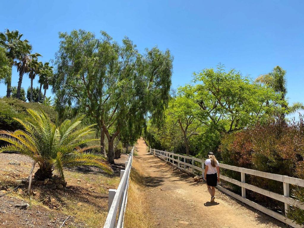 3226 Violet Property Photo 53