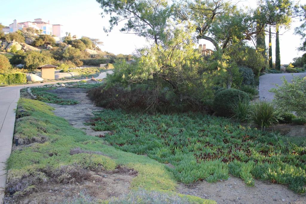 Little Canyon Lane Property Photo 11