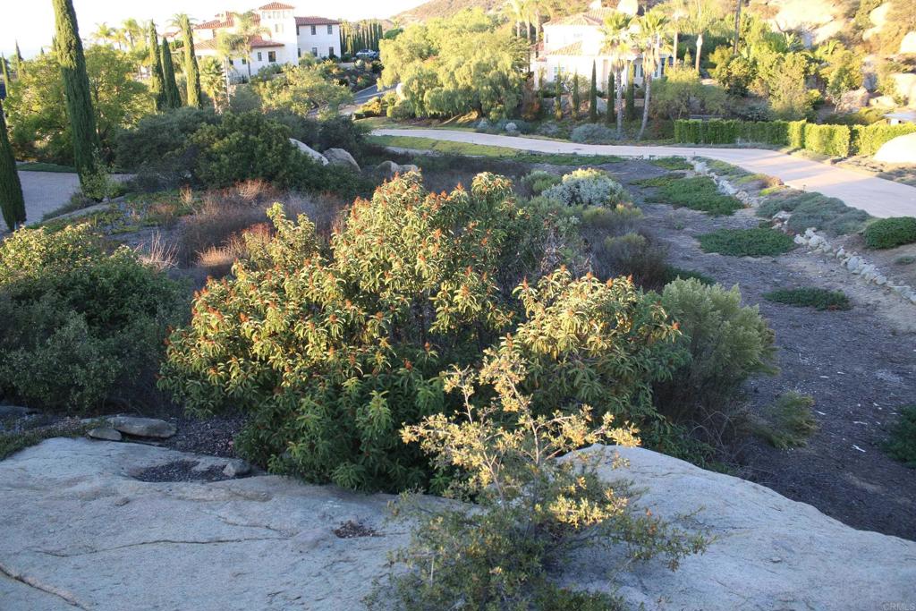 Little Canyon Lane Property Photo 12