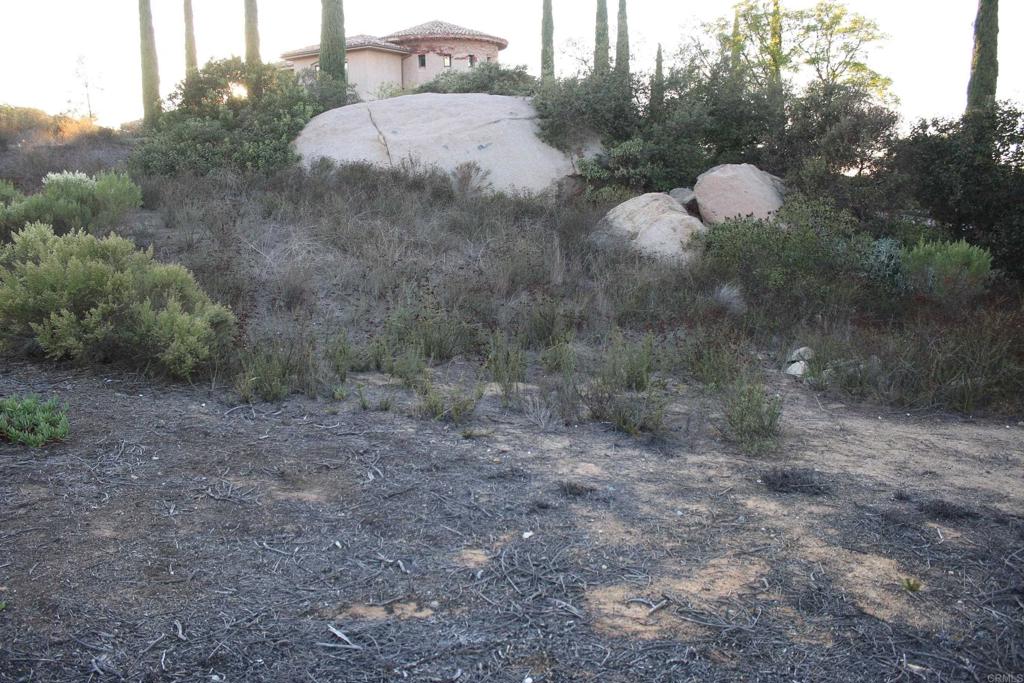 Little Canyon Lane Property Photo 14