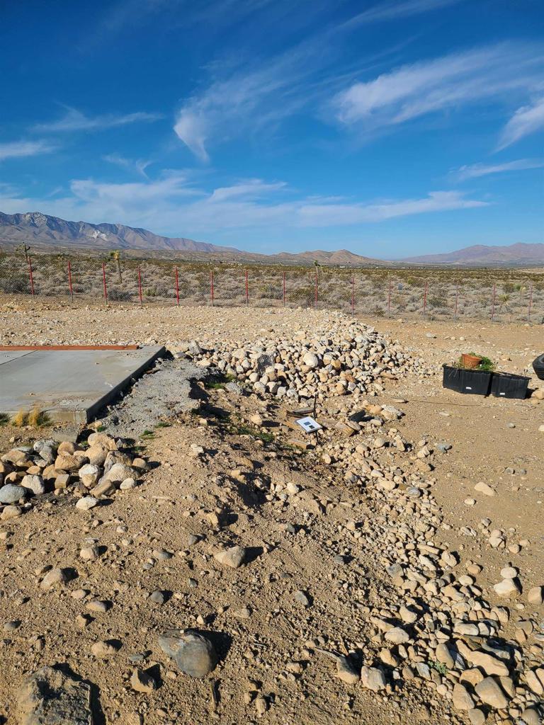 37598 Bauer Road Property Photo 4