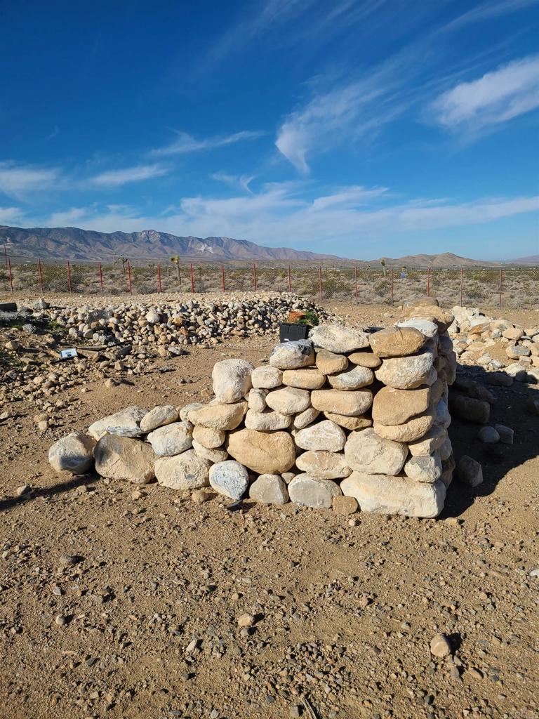 37598 Bauer Road Property Photo 5