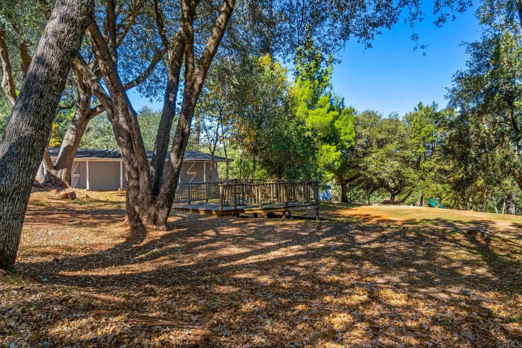3102 Pera Alta Drive Property Photo 5
