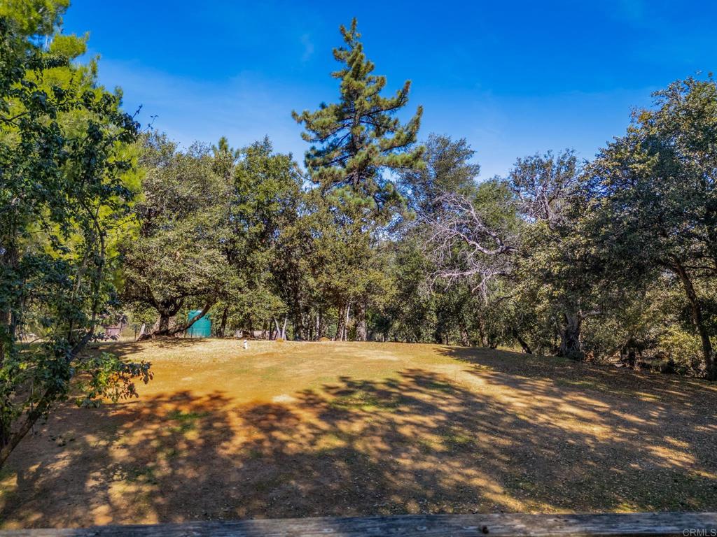 3102 Pera Alta Drive Property Photo 41