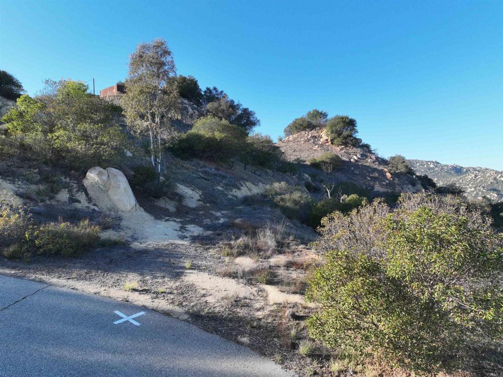 Rainbow Peaks Trail Property Photo 18