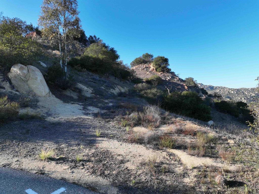 Rainbow Peaks Trail Property Photo 19