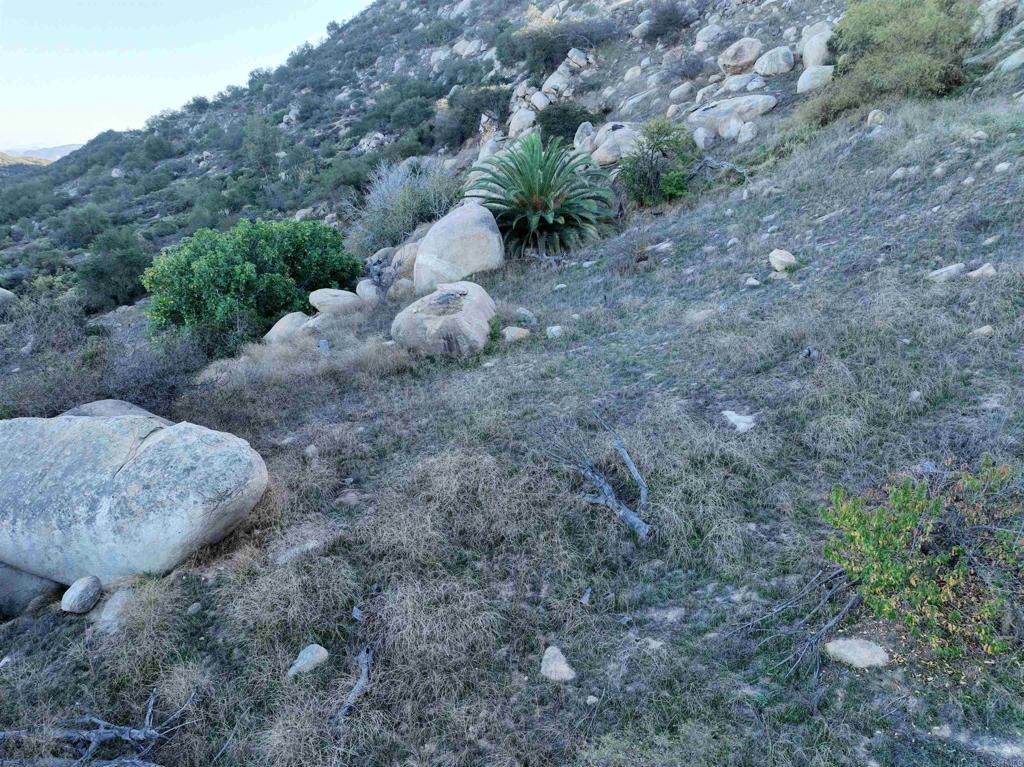 Rainbow Peaks Trail Property Photo 23