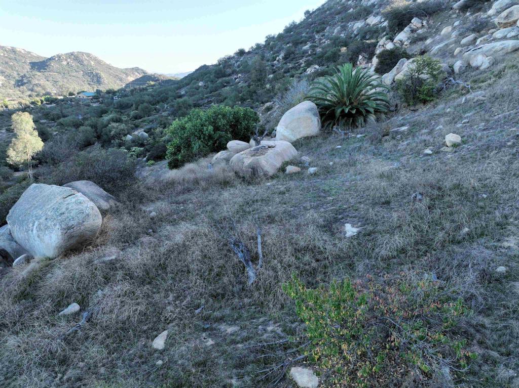 Rainbow Peaks Trail Property Photo 24