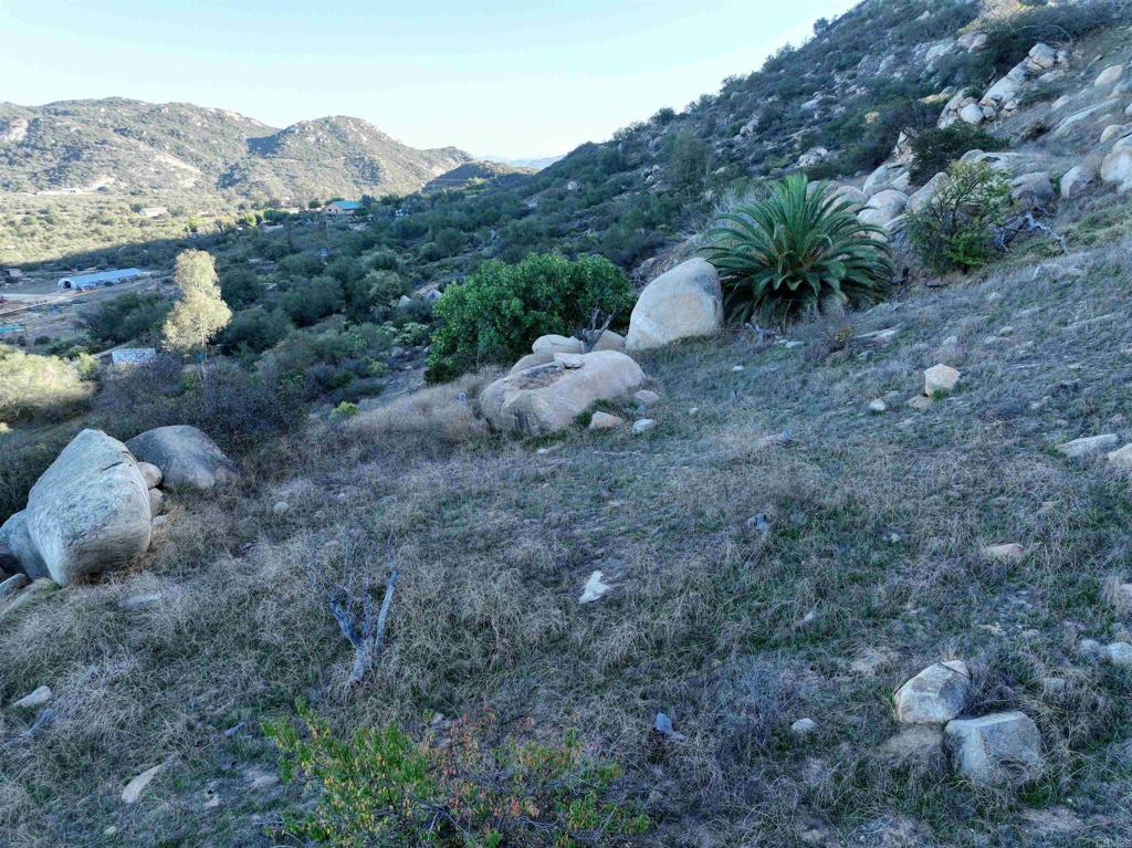 Rainbow Peaks Trail Property Photo 25