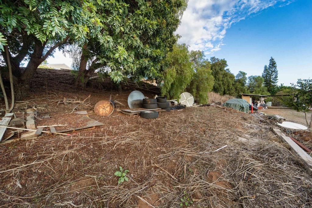 291 Osborne Street Property Photo 40