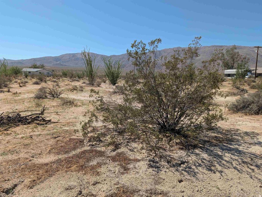 Rango Way Property Photo 2