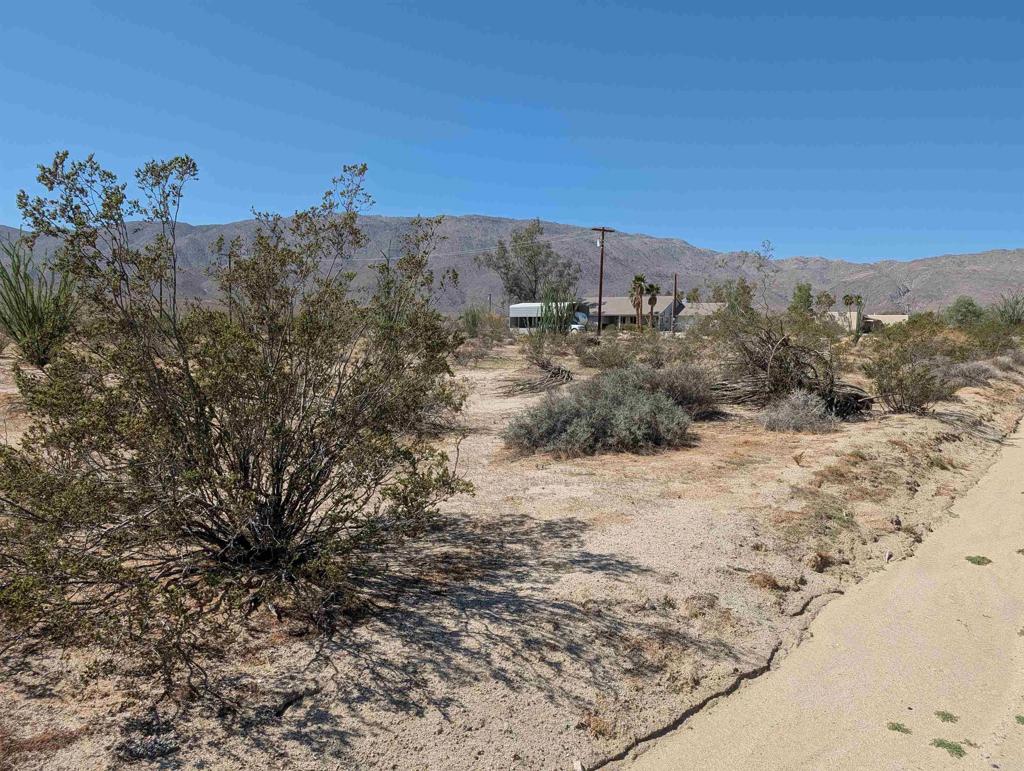 Rango Way Property Photo 3