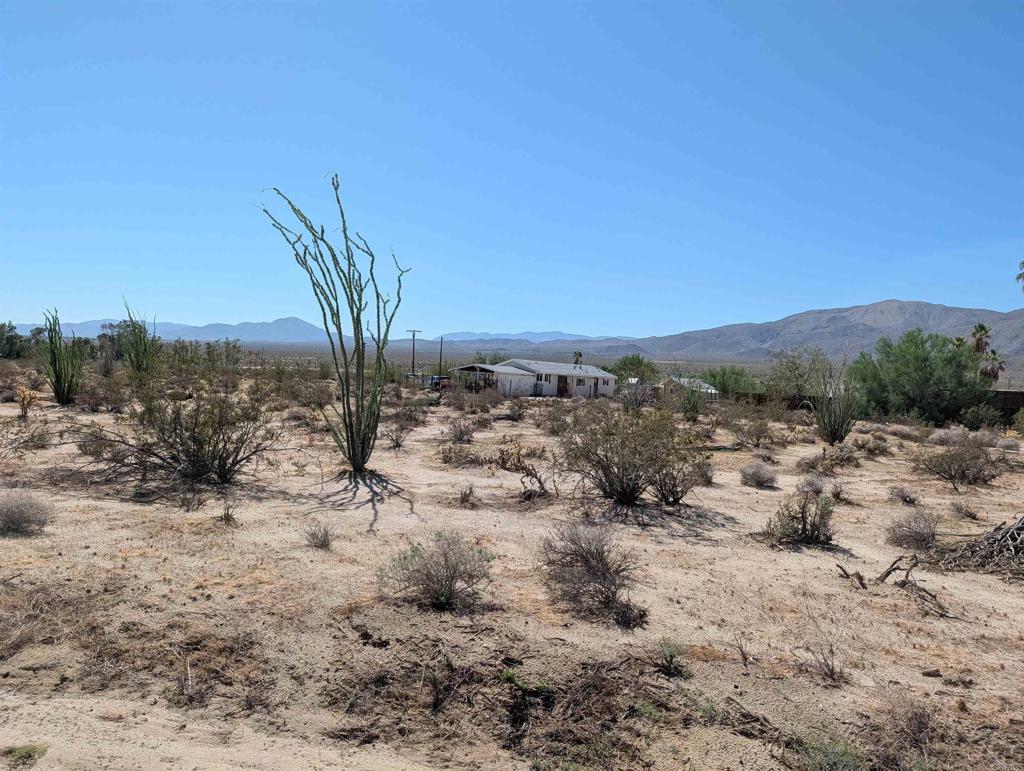 Rango Way Property Photo 4
