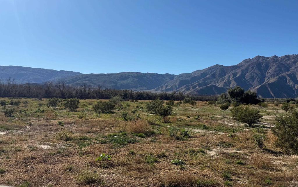 Borrego Springs Road Property Photo 2