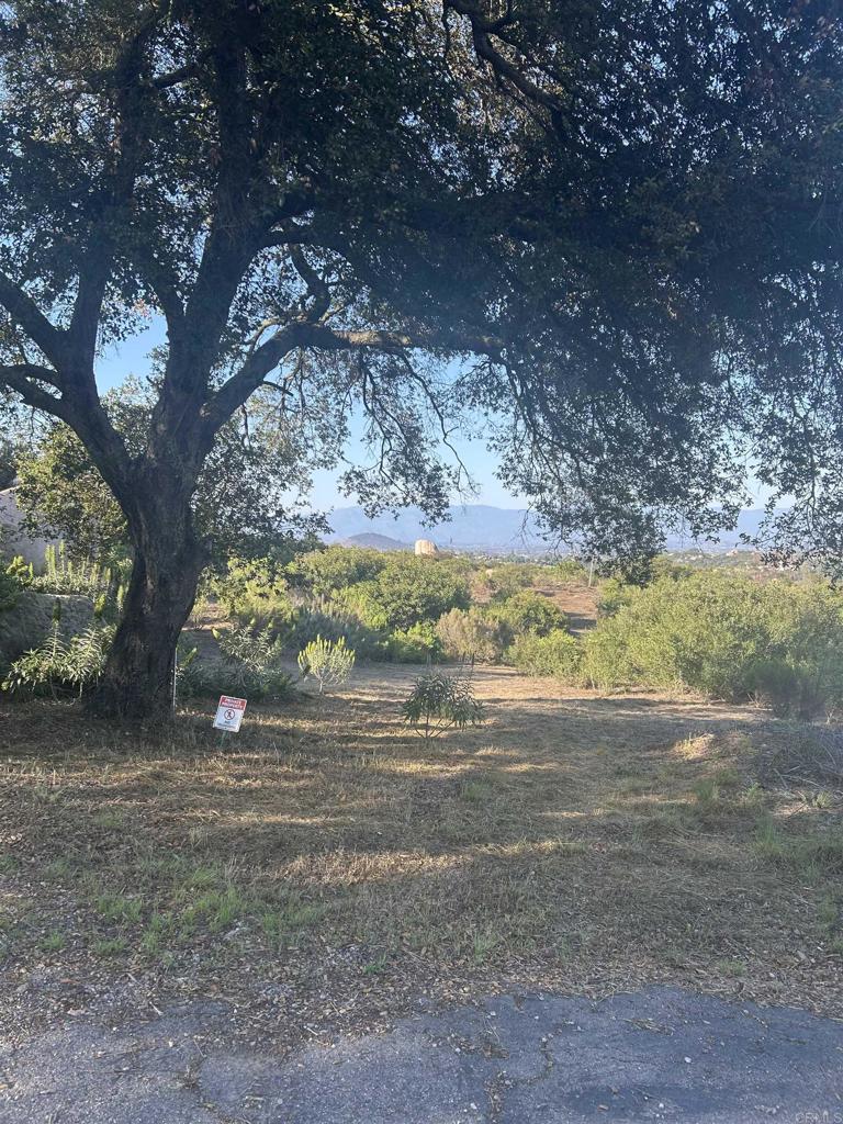 High Mountain Lane Property Photo 2