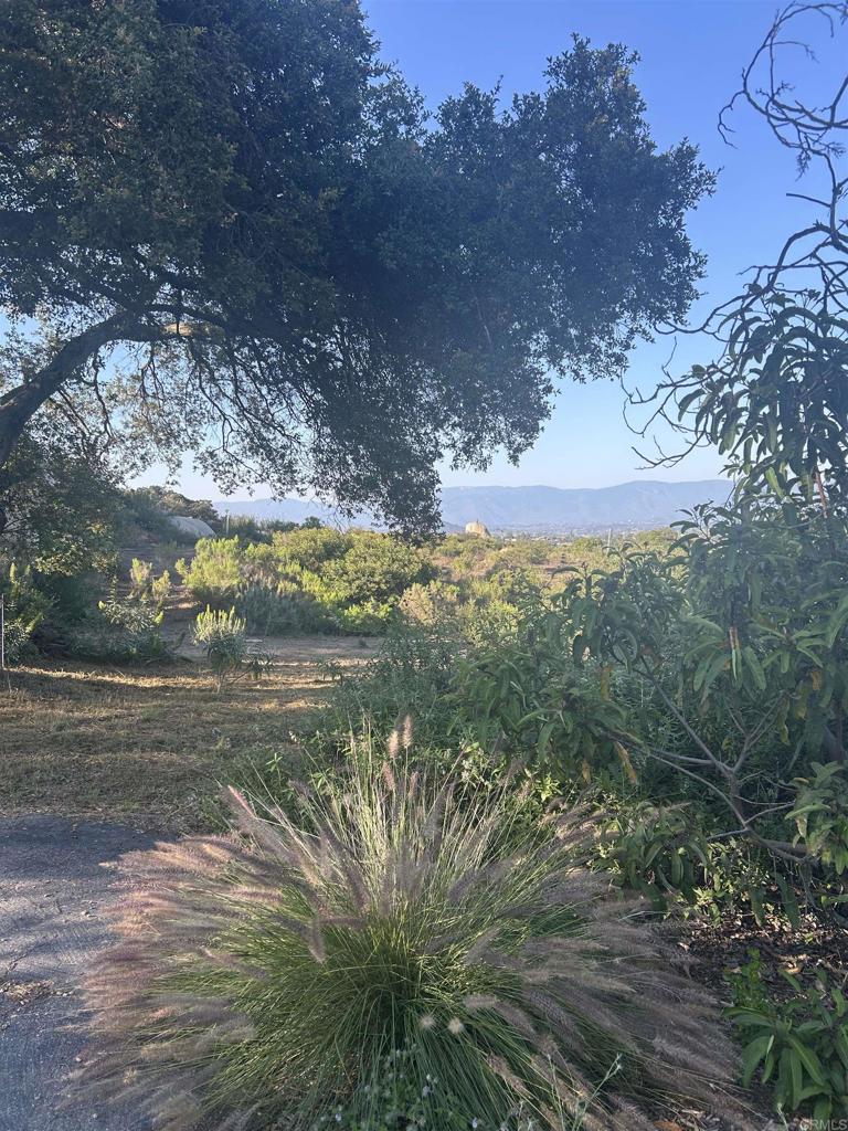 High Mountain Lane Property Photo 3