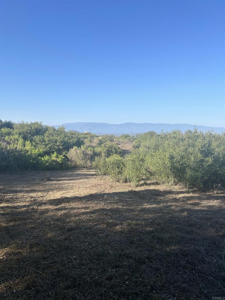 High Mountain Lane Property Photo 6