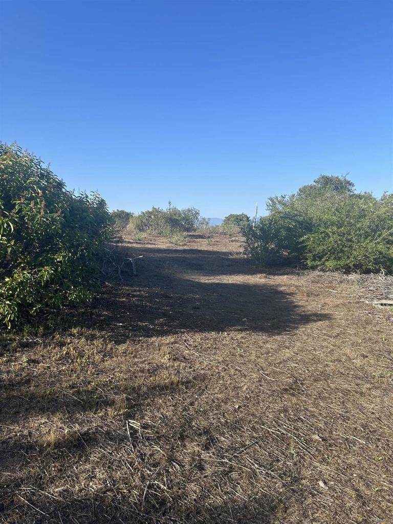 High Mountain Lane Property Photo 7