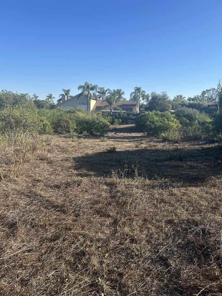 High Mountain Lane Property Photo 8