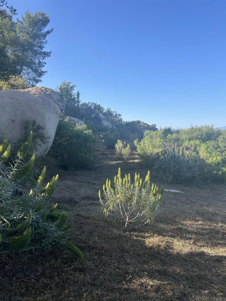 High Mountain Lane Property Photo 10