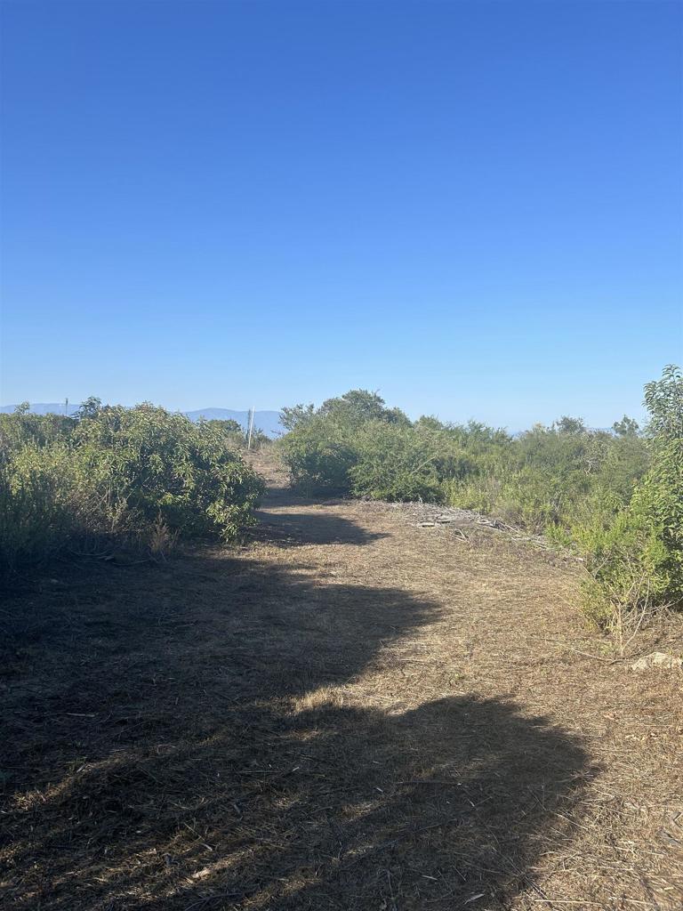 High Mountain Lane Property Photo 11