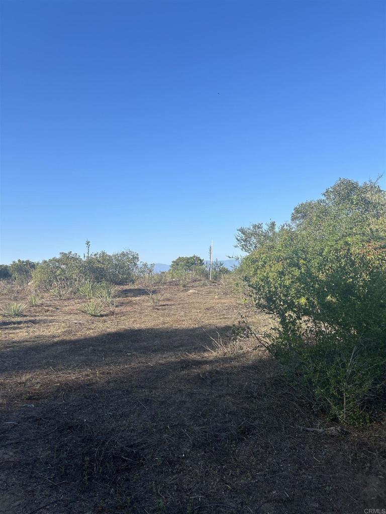 High Mountain Lane Property Photo 13