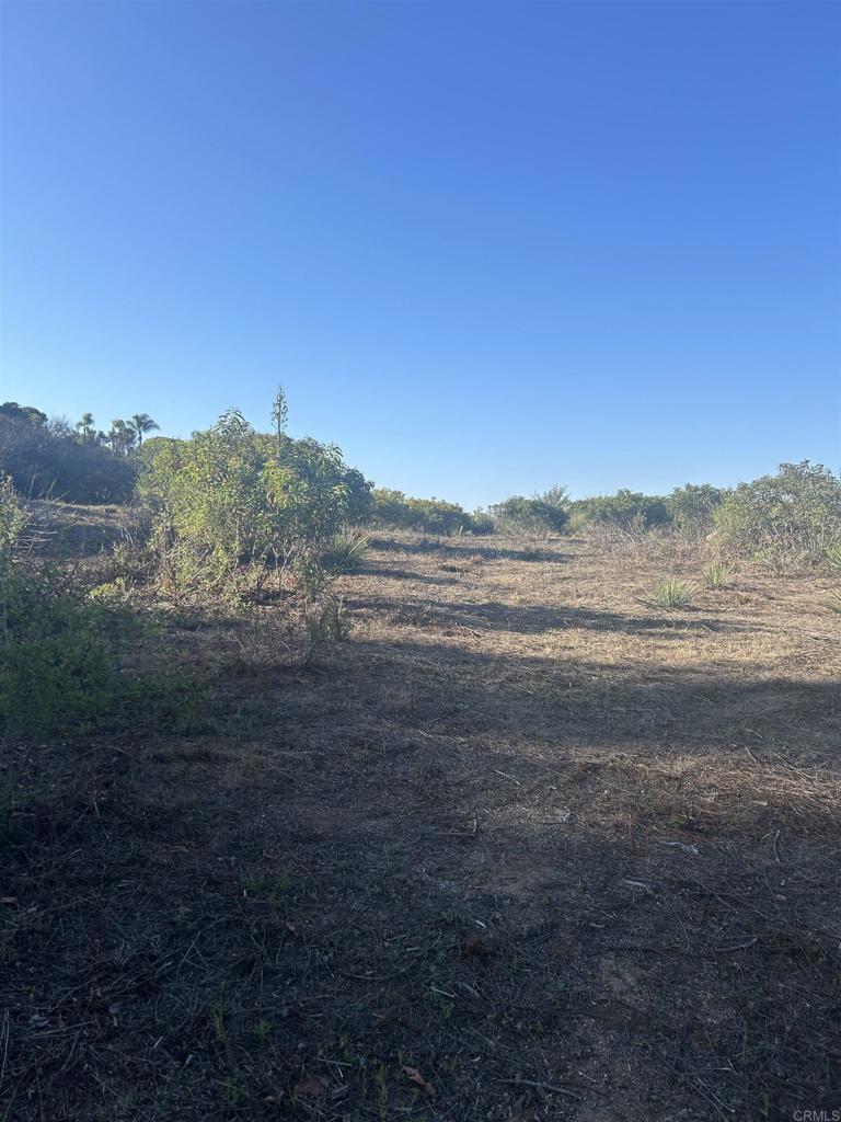 High Mountain Lane Property Photo 14