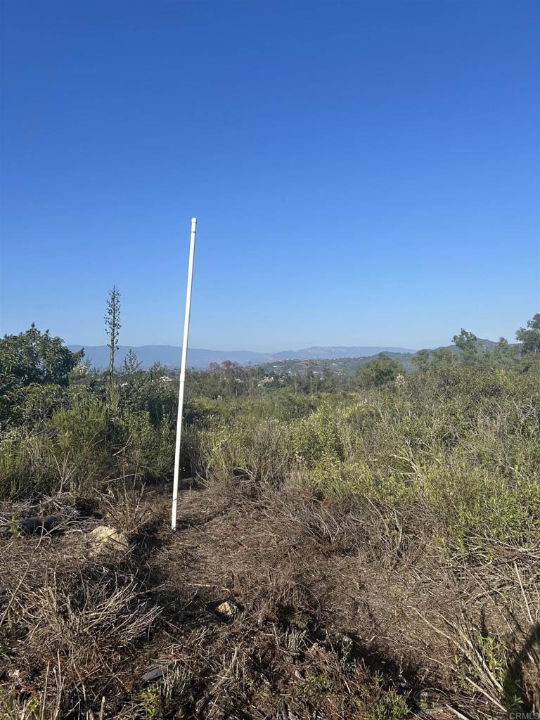 High Mountain Lane Property Photo 16