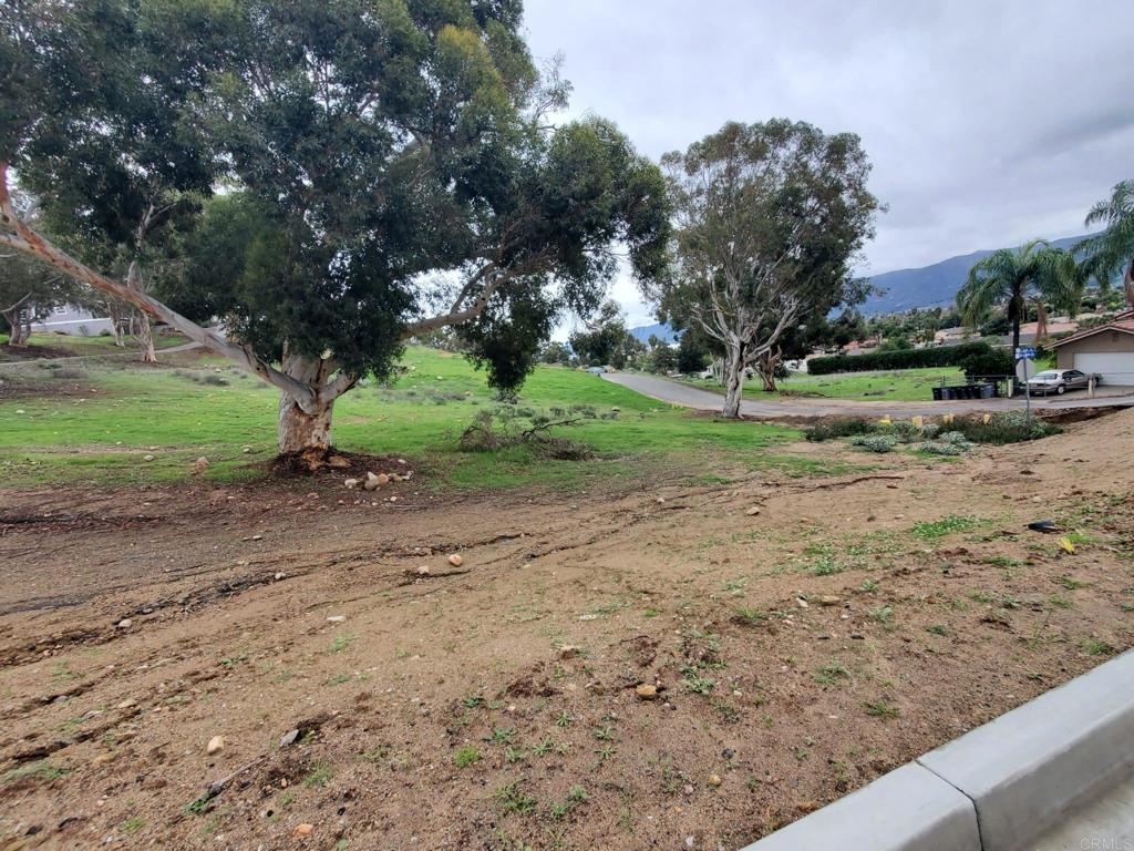 4 Lash Avenue Property Photo 18