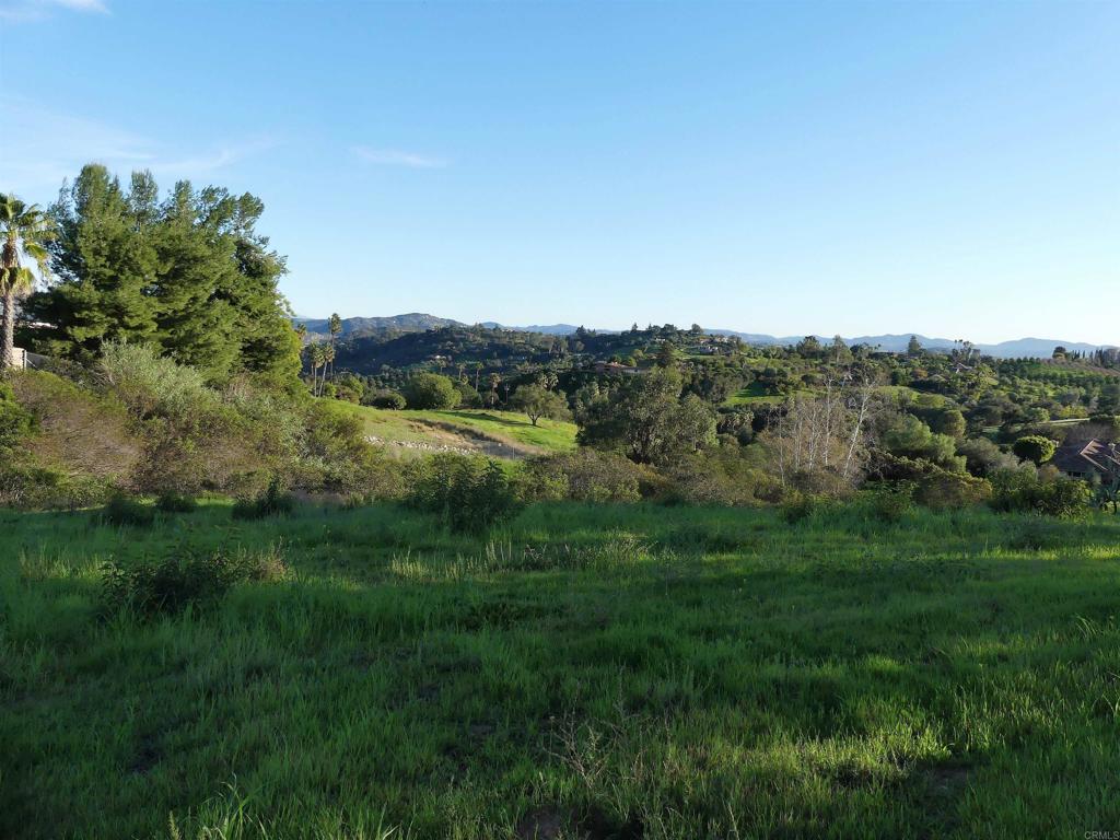 725 Yucca Road Property Photo 3
