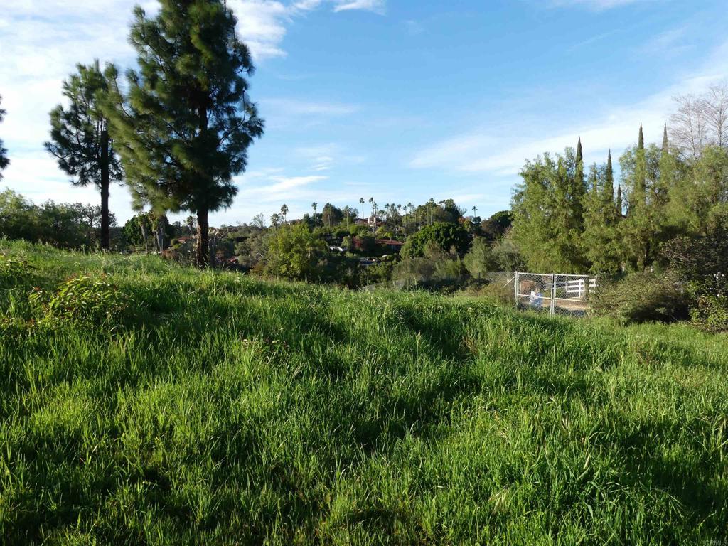 725 Yucca Road Property Photo 4