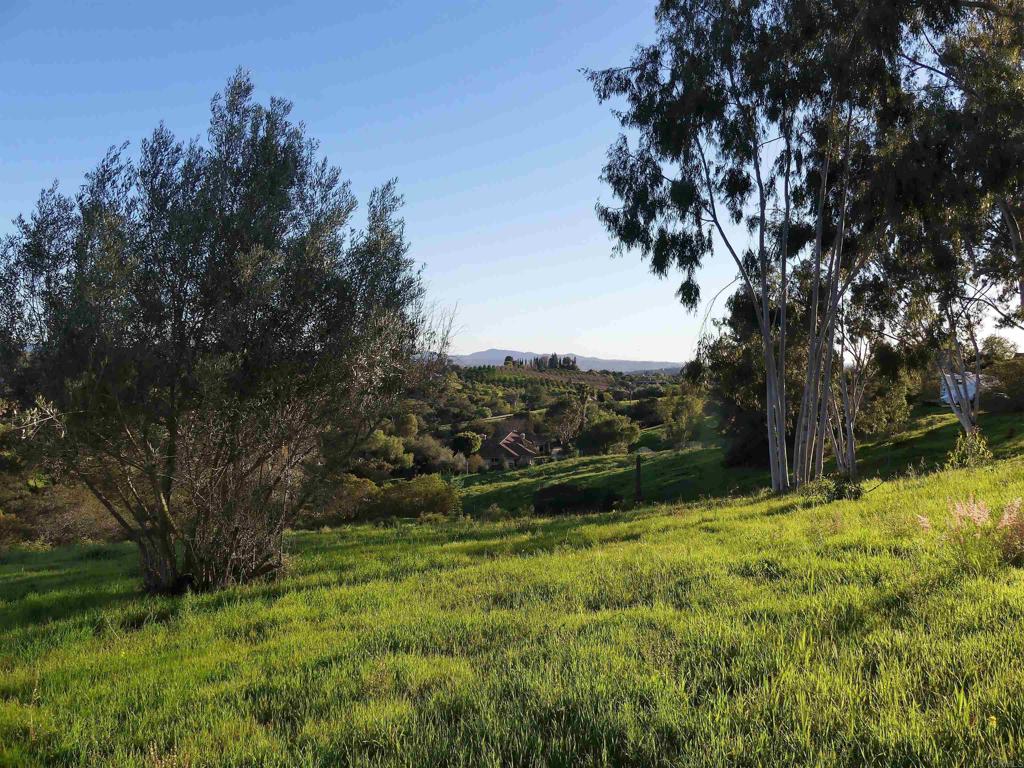725 Yucca Road Property Photo 5