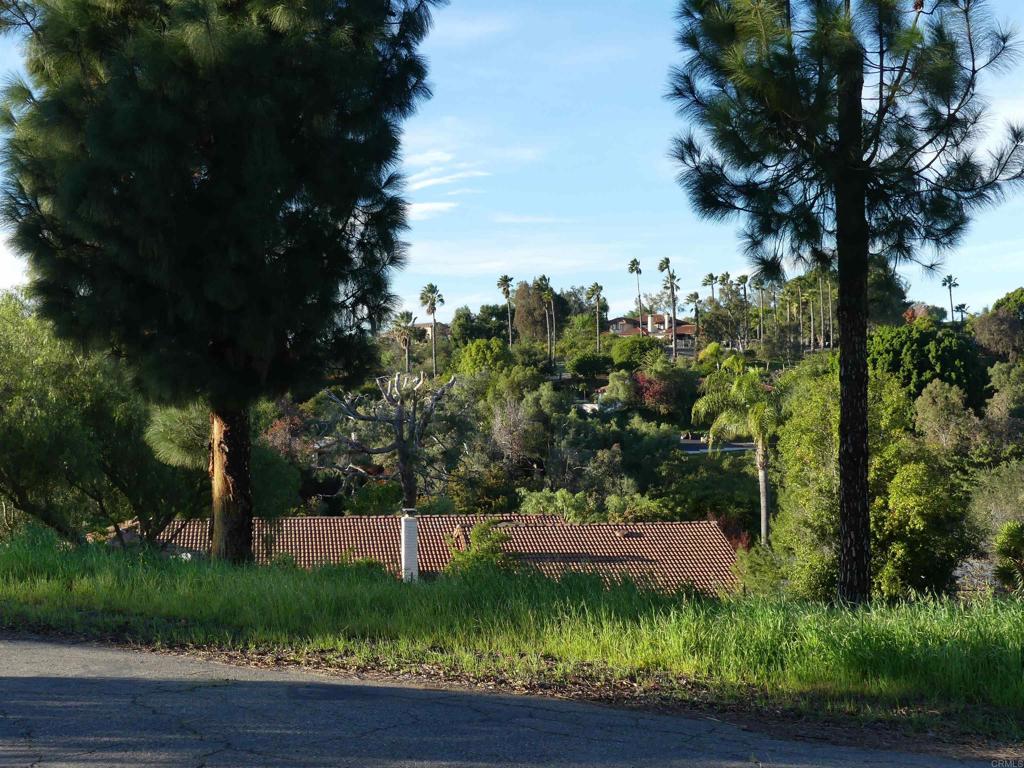 725 Yucca Road Property Photo 7