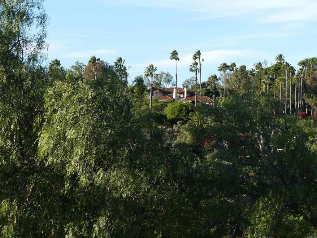 725 Yucca Road Property Photo 13