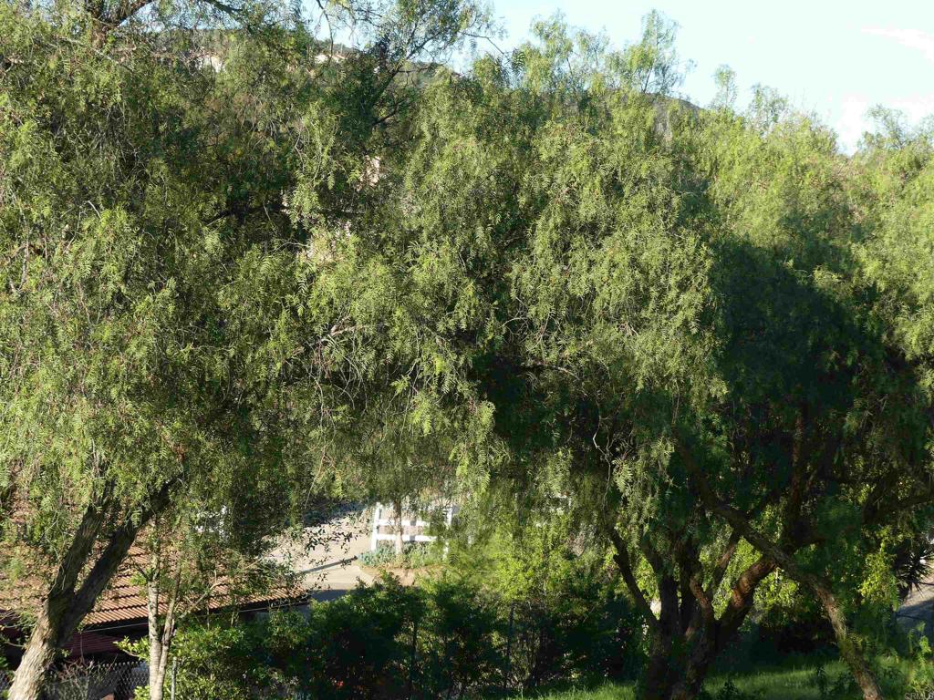 725 Yucca Road Property Photo 15