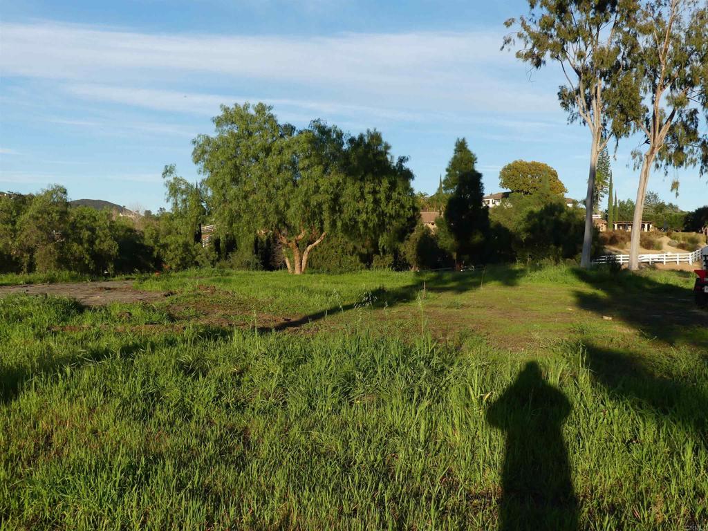 725 Yucca Road Property Photo 20