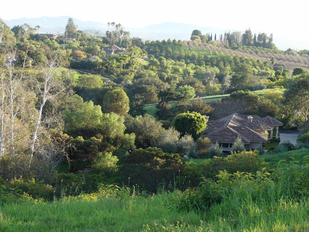 725 Yucca Road Property Photo 26