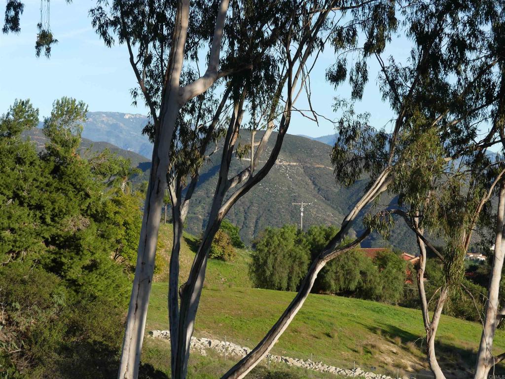 725 Yucca Road Property Photo 31