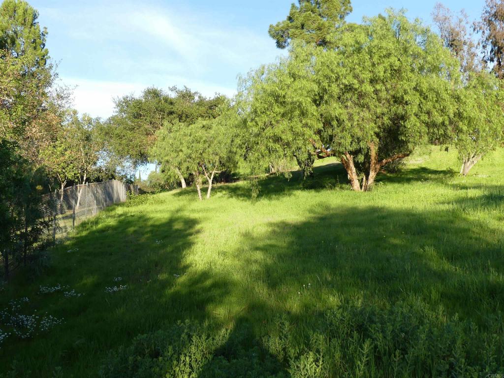 725 Yucca Road Property Photo 40
