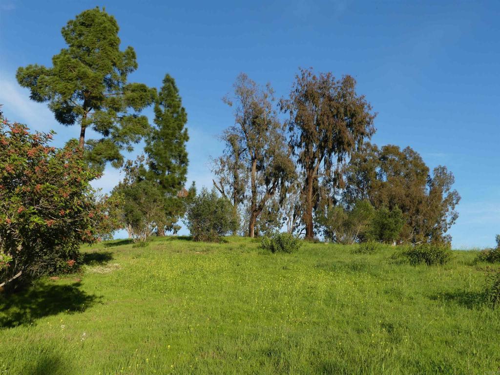 725 Yucca Road Property Photo 41