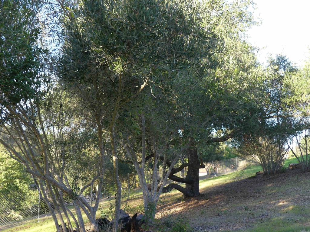 725 Yucca Road Property Photo 44
